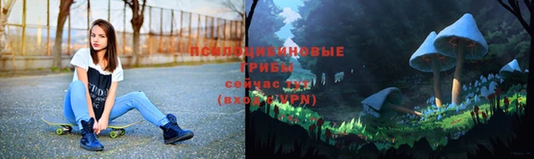 a pvp Сафоново