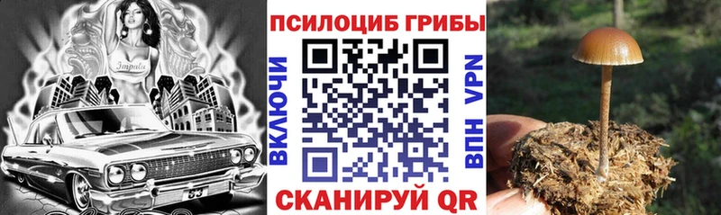 Псилоцибиновые грибы Magic Shrooms  Карабулак 